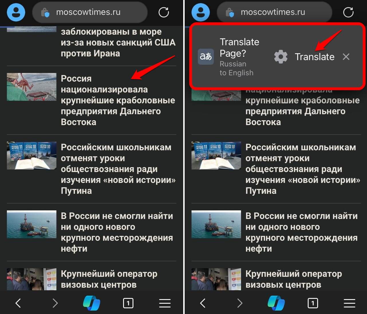 automatically-translate-a-page-on-edge-browser-in-iphone automatically-translate-a-page-on-edge-browser-in-iphone