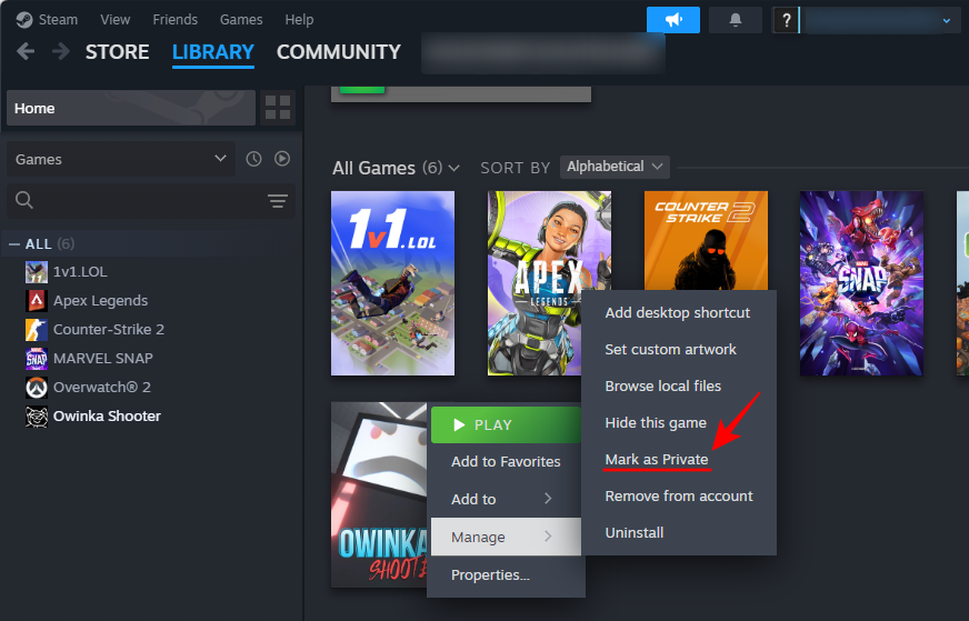 steam-mark-as-private-1