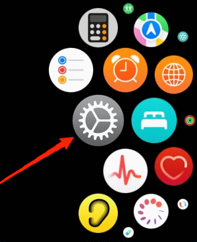 open-settings-on-apple-watch-1