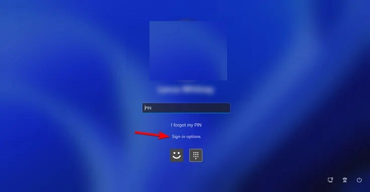 sign-in-options-w11-login