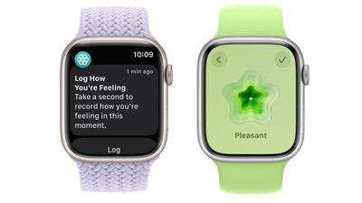 watchos-10-mood-logging