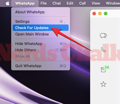 whatsapp-for-mac-group-calls-11-a