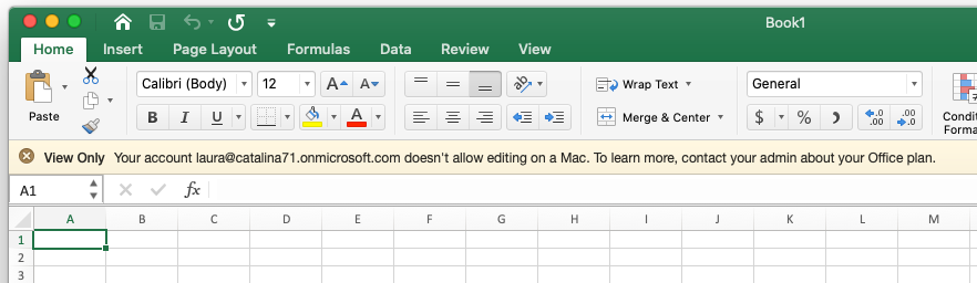 excel_does_not_allow_editing